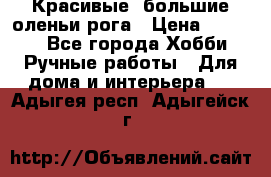 Красивые  большие оленьи рога › Цена ­ 3 000 - Все города Хобби. Ручные работы » Для дома и интерьера   . Адыгея респ.,Адыгейск г.